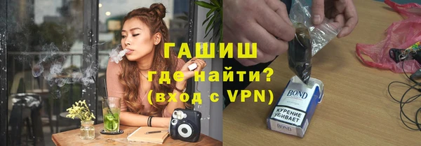 индика Белокуриха