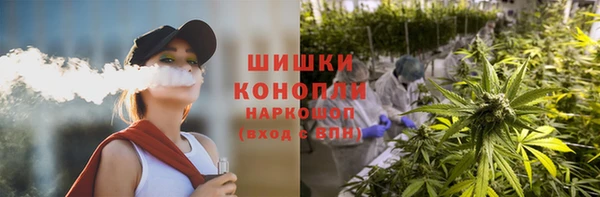индика Белокуриха