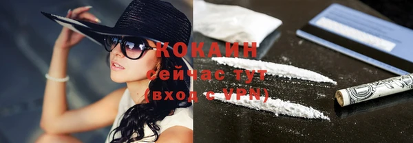 индика Белокуриха