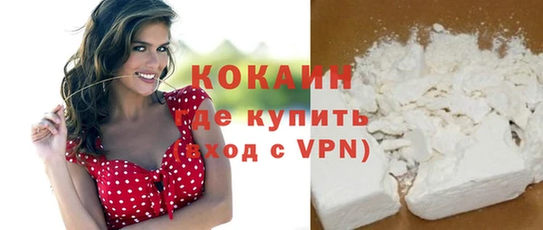 индика Белокуриха
