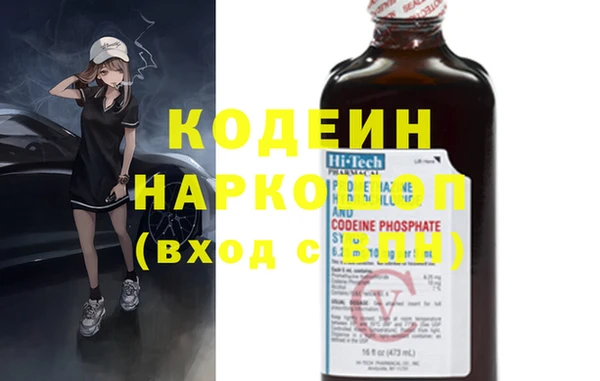 индика Белокуриха