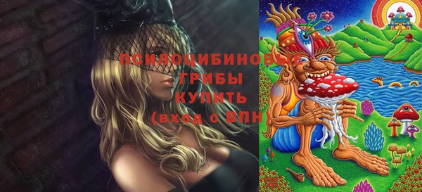 индика Белокуриха