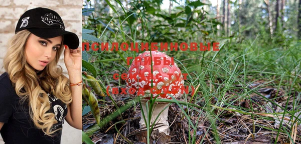 индика Белокуриха