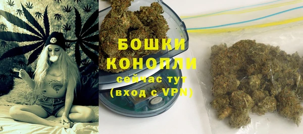 индика Белокуриха