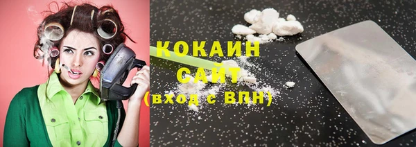 индика Белокуриха