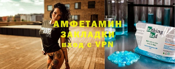 индика Белокуриха