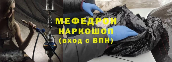 индика Белокуриха